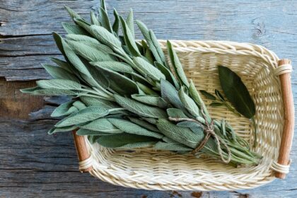 Come usare la salvia in cucina, ma non solo