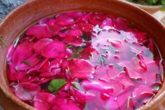 Acqua di rose: gli innumerevoli benefici di una ricetta antica. Da preparare a maggio.