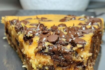 Torta di zucca light a modo mio, tempestata di gocce di cioccolato