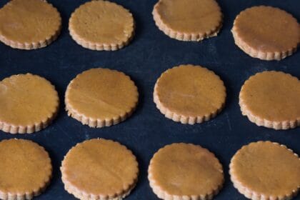 Biscotti al cioccolato senza niente