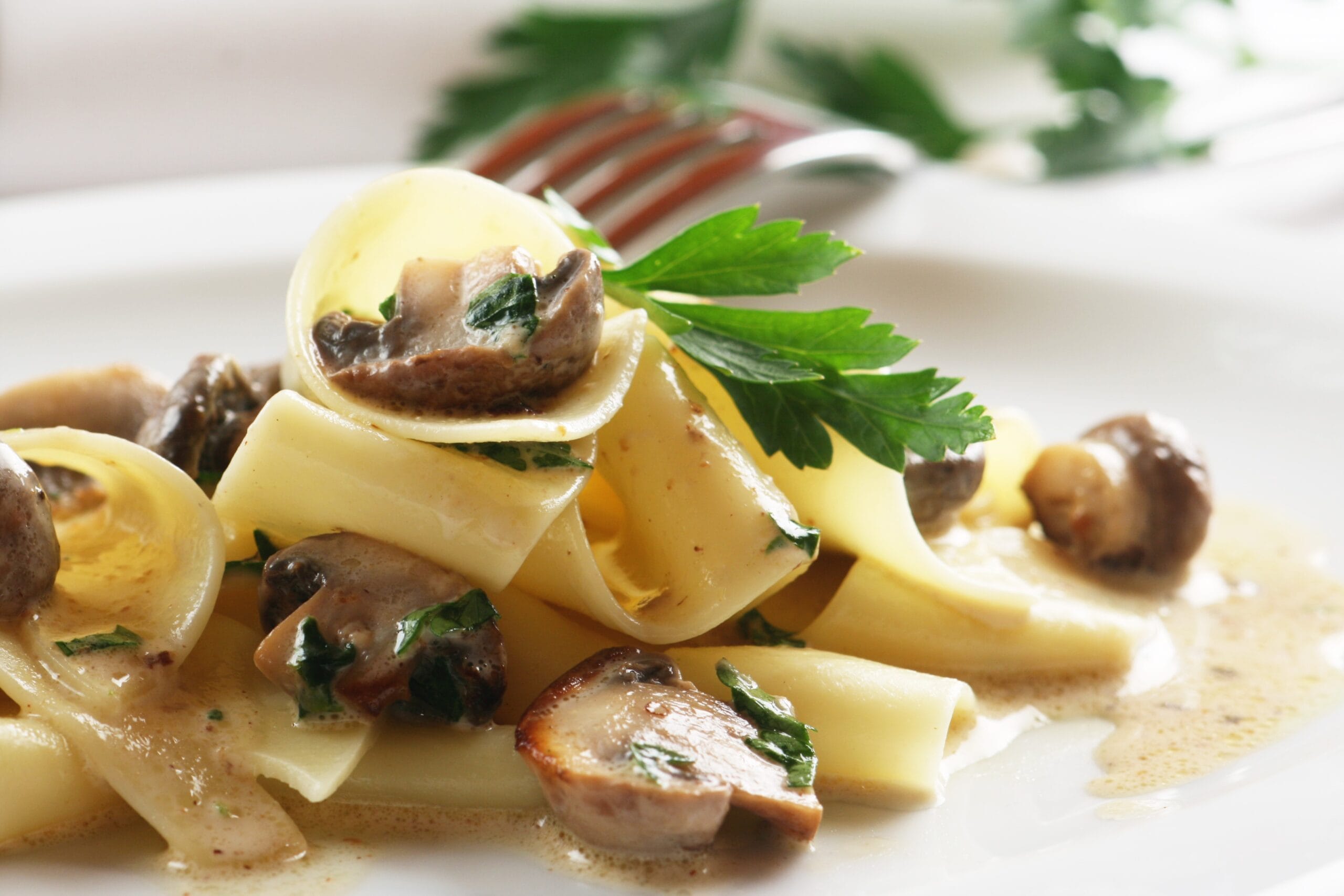 Sugo ai funghi porcini in bianco