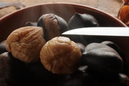 Castagne bollite, carnose e semplici da sbucciare: ecco come