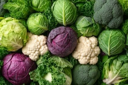 Cavolo cavolfiore broccoli: come cuocerli senza cattivi odori