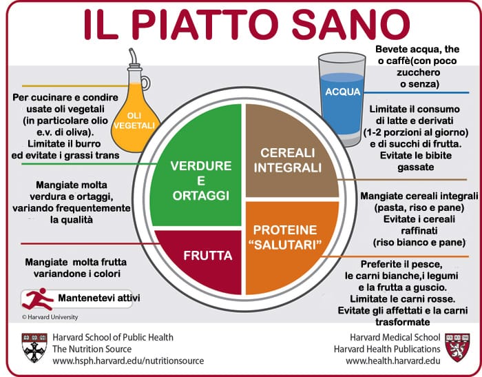 Il piatto sano: come comporlo e perché seguire questo schema