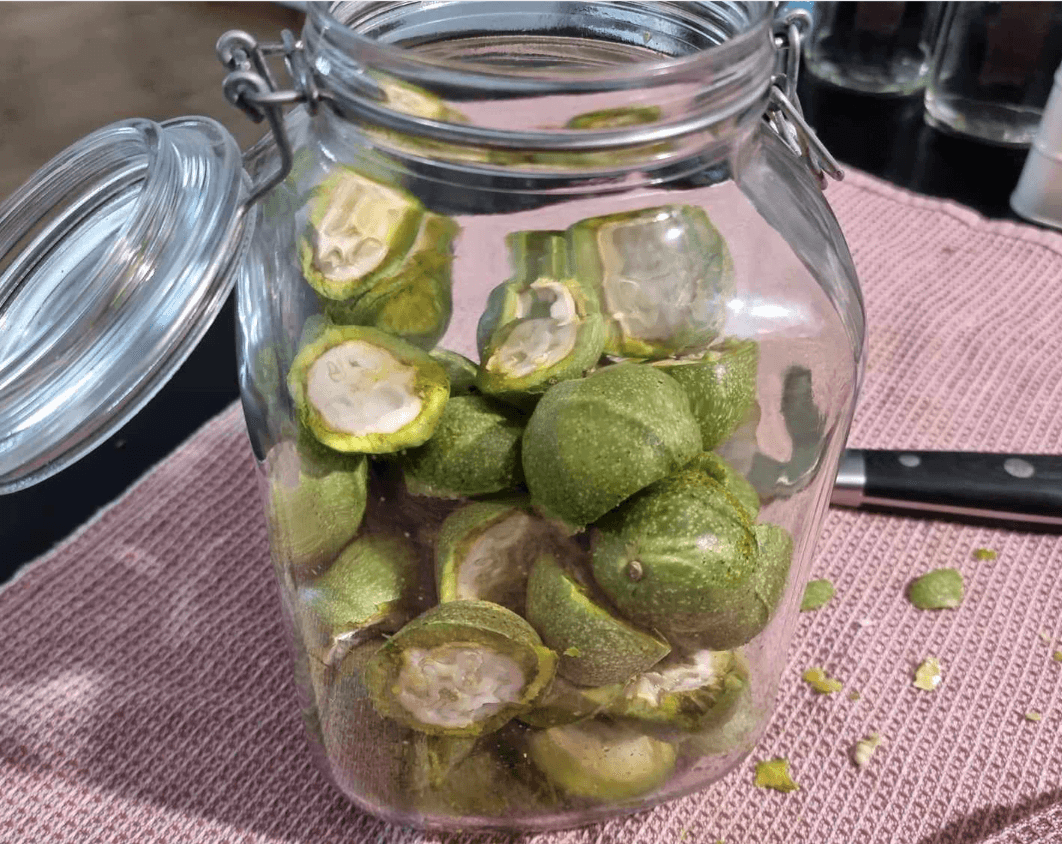Nocino fatto in casa (liquore di noci): la mia ricetta