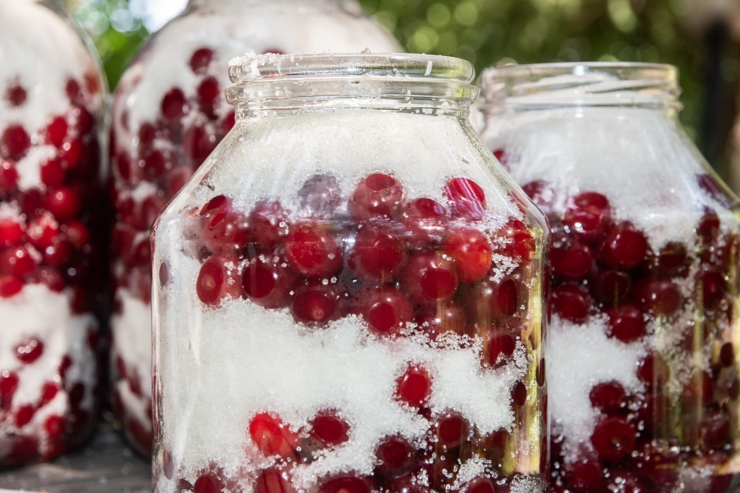 Ciliegie sotto zucchero: la ricetta di famiglia da conservare 40 giorni al sole