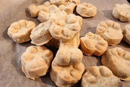 Biscotti per cani fatti in casa: la ricetta velocissima